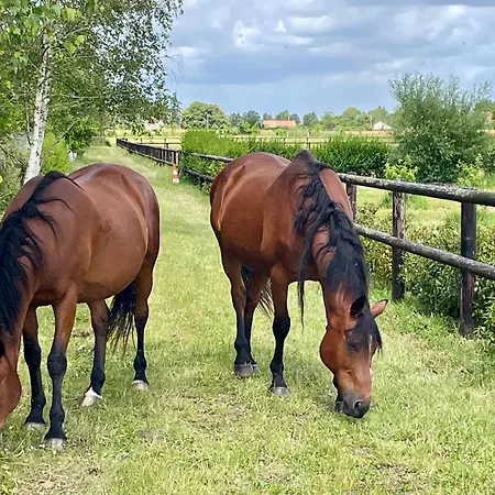 Apartment Horse Dream Saint-Martin-en-Biere